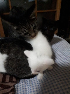 20170907090418578.jpg