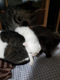 20170907090438895.jpg