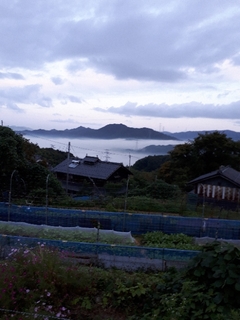 20171001115942301.jpg