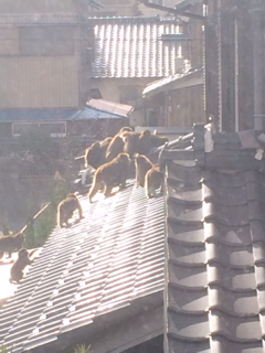 image-20140128192832.png