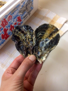 image-20140219131156.png